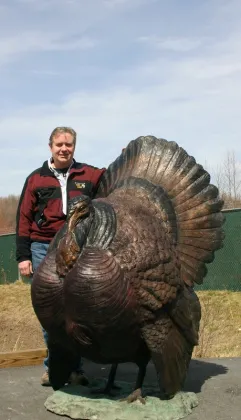 Bronze Tom Turkey Statue