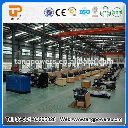 Lovol Grupo Generador 75kVA