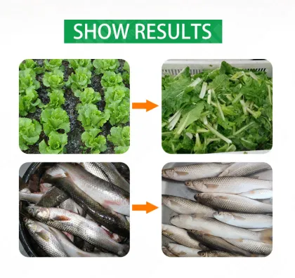 Lettuce Washing Machine: Leafy Vegetable Washing Machine