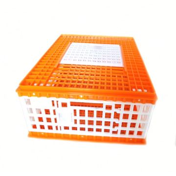 Plastic Chicken Transport Cages & Crates for Broiler Chickens