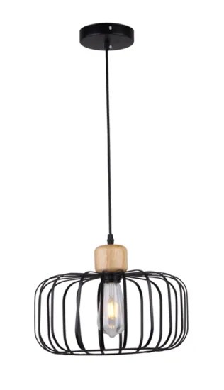 Modern new black iron outdoor pendant