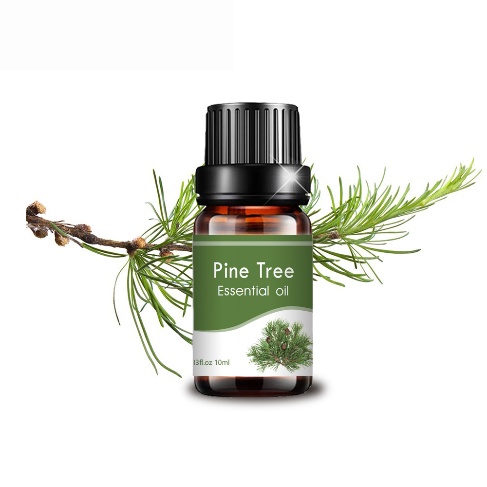 Private Belting Pine Tree Tree Essential Aroma Cabelos de Cabelos de Aroma