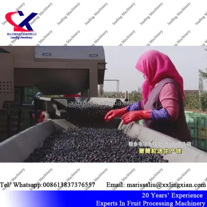 Large Scale Ice Grape Juice Making Machine | Grape Juice Processing Equipment