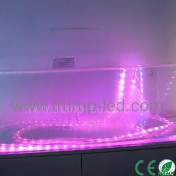 Waterproof rgb Led Flexible strip,rgb led stripe