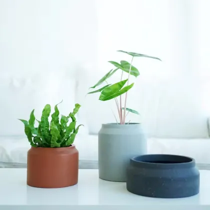 Customized Cylinder Terracotta Concrete Flower Pot for Outdoor