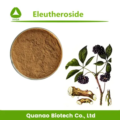 Pure Siberian Ginseng Extract Eleutheroside Powder 0.8%