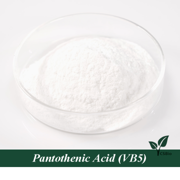 Best Price Pantothenic Acid Vitamin B5 Supplement