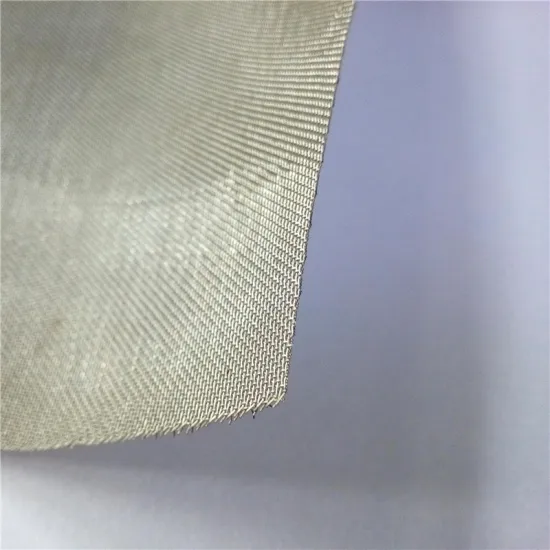18 Mesh, 0.16/ 0.21/0.28 mm Wire, Stainless Steel Wire Mesh Window Screen as Insect Barrier