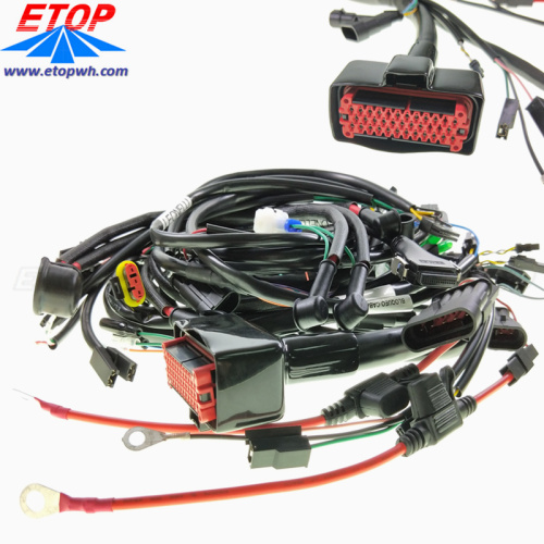 Custom Car ECU Wiring Assembly Kits