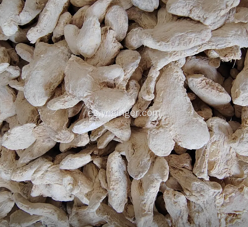 Trozos de jengibre secos de materia prima orgánica de Asia