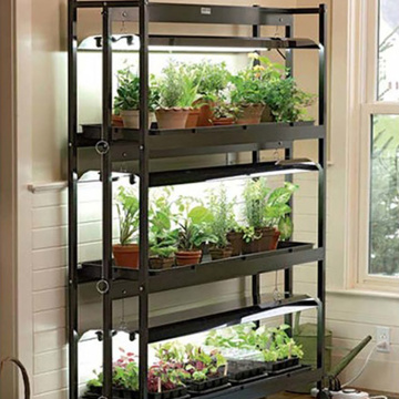 Indoor MicroGreen Growing Hydroponic System