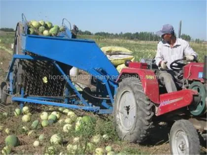 Watermelon Seeds Harvester Machine