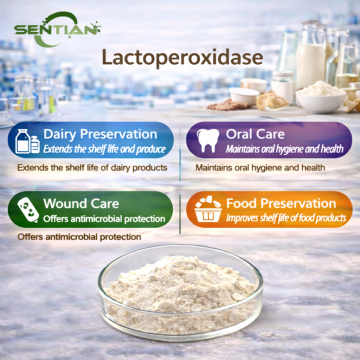 Lactoperoxidase Enzyme Function in Milk