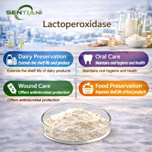 Lactoperoxidase Enzyme Function in Milk