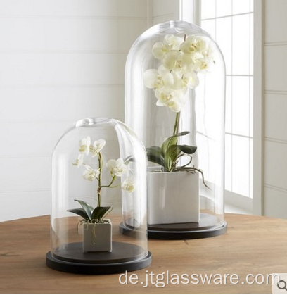 Handgefertigte mundgeblasene klare Blume Glaskuppel Holzsockel