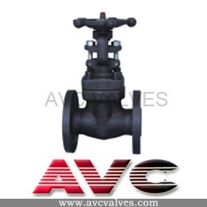 Flanged Forged Steel Gate Valve AVC009