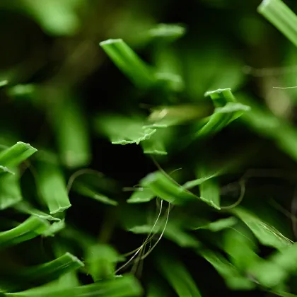 good artificial grass panel