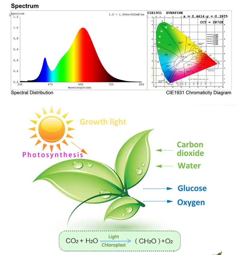 Grow Light