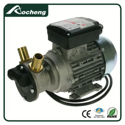 Adam Pumps Oil Pump - 20L/min