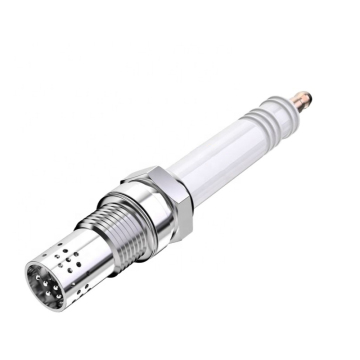 China Best Spark Plug 462199 for Jenbacher