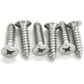 SS304 CSK Head Selftapping Screw