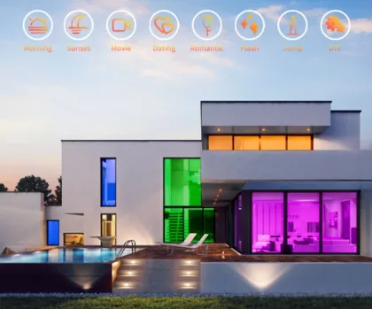 LED Neon strip light Flexible Neon strip light