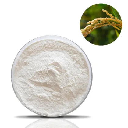Organic or Natural Rice Bran Extract Powder
