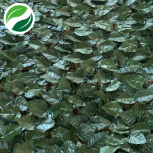 Folhas de pêssego de planta verde simulada