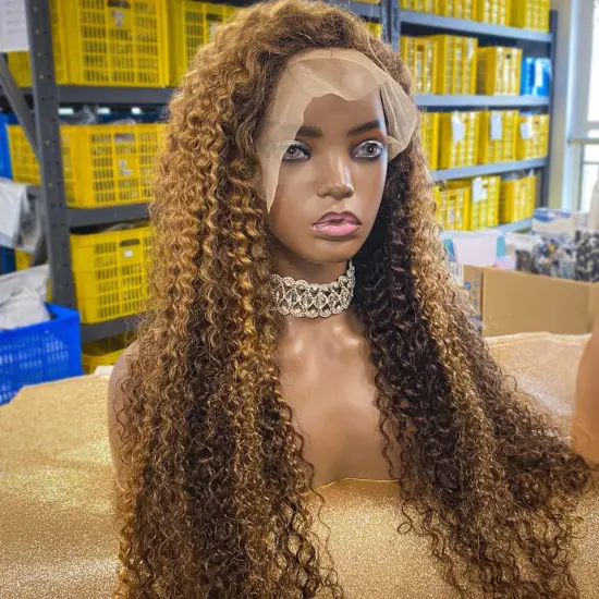 HD Transparent Curly  Brazilian Hair HD Lace Front Wig,align virgin Human Hair Full Lace Wig,13x6 Lace Frontal Wig For