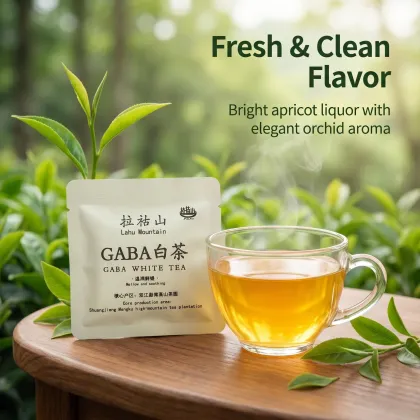 GABA White Tea Mini Square Slice 8g