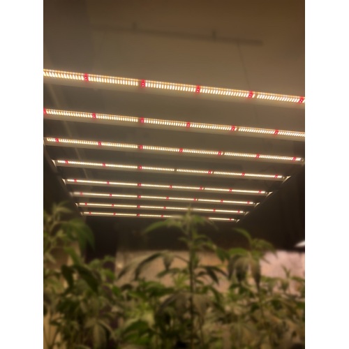 Wenyi Farm Grow Light Waterproof IP65 Kits