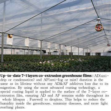 Up-to-date 7+1 layers co-extrusion greenhouse films