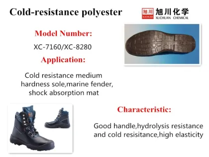 POLYETHER -POLYURETHANE FOOTWEAR SYSTEM