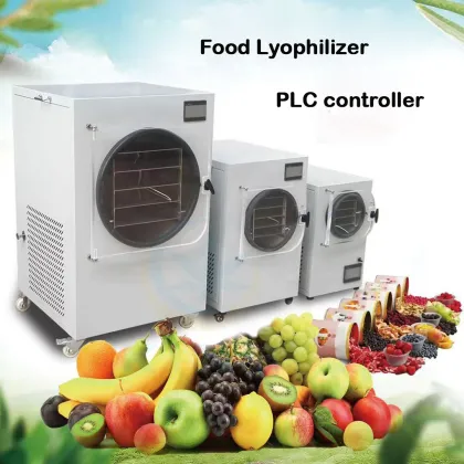 Home Freeze Dryer Machine: Small Freeze Dryer with Vacuum Pump for Candy