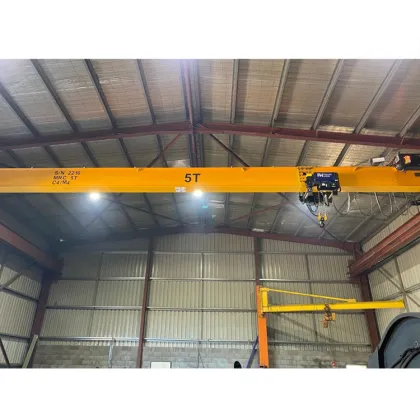 Factory Custom 2 Ton Crane for Bridge Construction Machinery