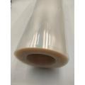 Biodegradable sugarcane bagassa container PLA Film