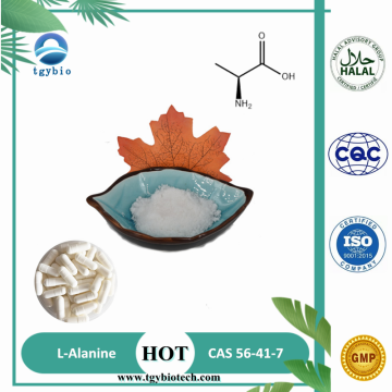 Prix ​​de gros L-Alanine, CAS 56-41-7 (grade alimentaire) en stock