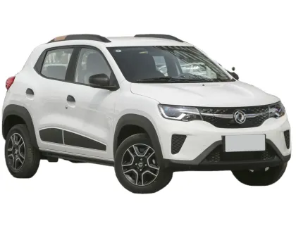 Factory Direct Pure Electric Automobile with Fast Charge Battery for Sale