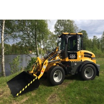 Caise CE EPA Mini Loader CS918 Pro for Sale