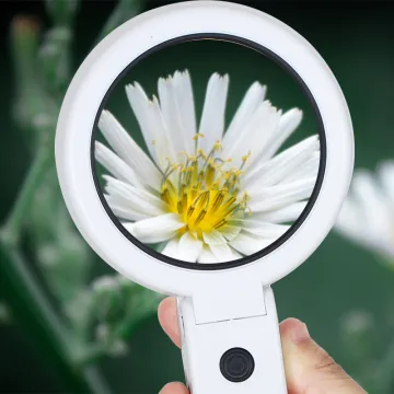 Wholesale Portable HD Reading Magnifying Glass with Light
