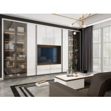 Custom Living Room Storage Cabinet with Matte Finish
