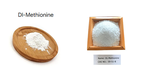 Methionine Amino Acid Powder CAS 59-51-8