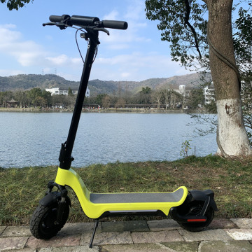 electric scooter made in china