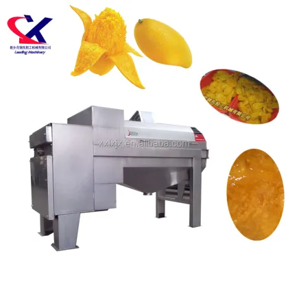 Fruit Processing Industry: Mango Peeler Slicer Machine & Fruit Juice Manufacturing
