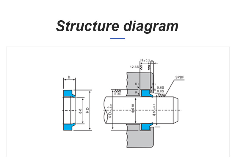 Wa1 Dust Seal Ring