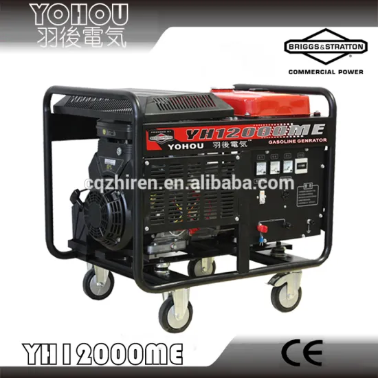 permanent magnet 220V 10kva petrol generator price