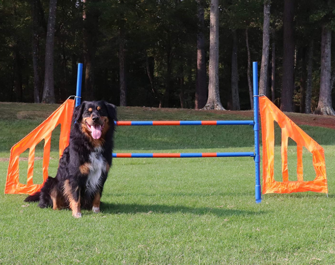 Dog Agility Equipment Set