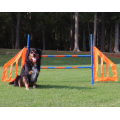 Set di salto di agilità del cane