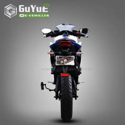 Adult Off Road Street Electric Motorcycles