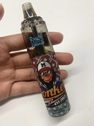 elfbar elfa master akku RandM Tornado 7000 Lush Ice (Limitiert)  RandM Tornado Vapes